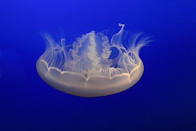 国产重口乱伦：血脉羁绊，极速抉择，隐秘赛道上的伦理竞速-2