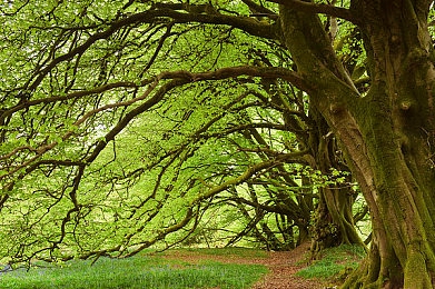 朝阳群众51cgfun3u8的背景和意义：数字街巷，共筑无形安宁防线-4