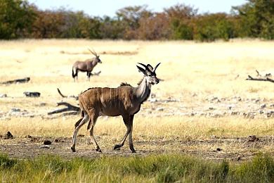 牛牛国产：华夏飞驰，真实路况中的国风竞速新纪元-5