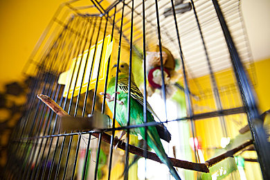 亚洲一区日韩：极速对决今日开启，东方赛车美学引爆全新赛道-4