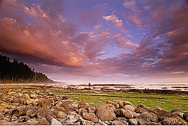 黄色软件免费下3.0.3:地平线5新版上线,隐藏涂装与保时捷911获取攻略揭秘-2