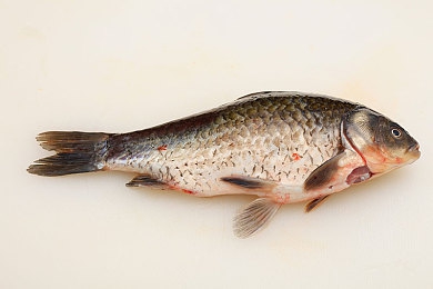 亚洲国产AV电影：霓虹夜幕，极速视听，都市赛道改装传奇-3