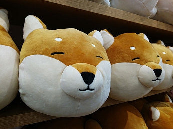 亚洲综合一区二区：极速穿梭都市霓虹，征服雨林险峻山路，沉浸竞速新纪元-4