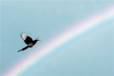 色依依成人：极限竞速地平线5全新赛季开启，墨西哥绝景与驾驶艺术完美融合-3