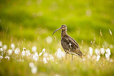 男生女生一起差差差差APP：极速搭档,性别协作策略竞速革新之旅-3