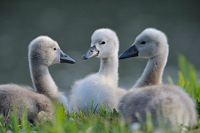 极端疼痛虐交HD：硬核驾驶模拟器，在拟真炼狱中挑战生存竞速-4