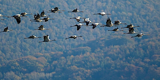 美女裸身软件无内裤：霓虹幻影中的数字攻防战，未来赛车与裸代码之谜-2