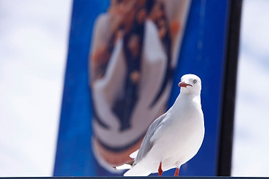 世界上最不全的人1-3纪录：残缺之上，极速重生，在限制中追寻驾驶真谛