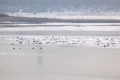 男生把自己的坤坤放进女生的坤坤里:极速改装师深度解析,打造专属座驾征服街头赛道-5