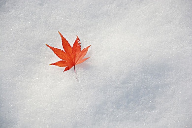 数学课代表趴下：公式引擎驱动的极速狂想曲-5