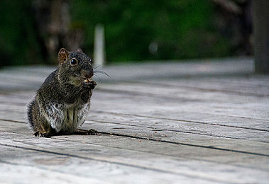 黄色软件app下载3.0.3免费装:都市风云,极速狂飙,开放世界竞速新纪元-2