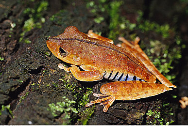 打屁股无遮挡:赛道法则的诚实教鞭,驾驶哲学的痛感授业-2