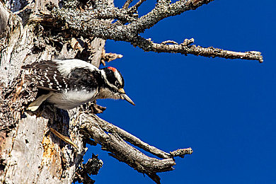爱情岛  AV永久入口：竞速情缘，心岛时空交错的极速邂逅-3