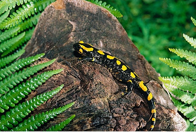 乱轮视频国产传媒：国产赛车新作颠覆传统竞速，融合传媒叙事引爆虚拟赛道-2