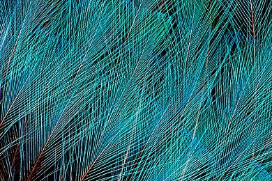 机机对机手机免费下载大全最新版安卓手机：极速狂飙街头对决安卓版上线，全球实时竞速引爆移动对战热潮-5