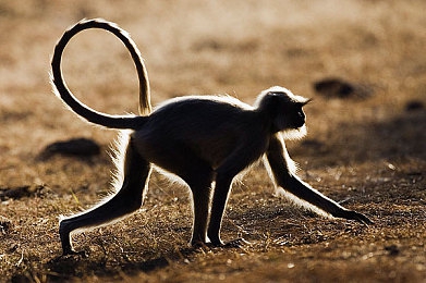 男生女生搞逼软件：极速狂飙，改装社交引爆虚拟赛道新热潮-3