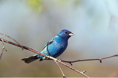 紫色面具小女孩张婉莹同款面具：幻夜之面全新竞速道具揭秘，隐藏技能与赛道哲学引发热议-4