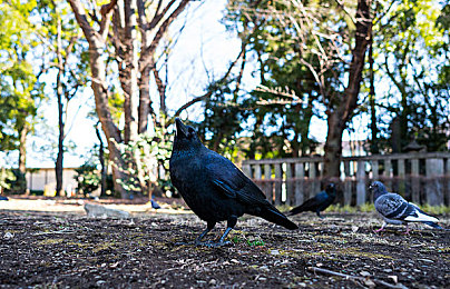 禁止下载的软件：非法改装工具侵蚀公平竞技，赛车游戏生态面临严峻挑战-1