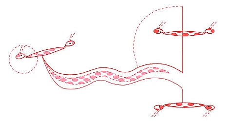 天美传媒麻豆MDXXXX：次世代竞速游戏极速代号MD正式发布，动态损伤与拟真驾驶重塑赛道体验-3