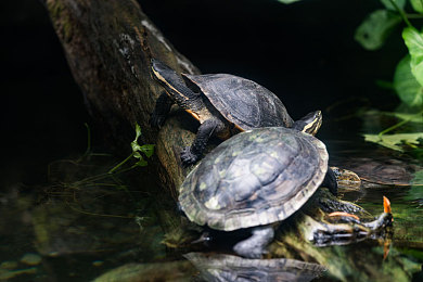 冯珊珊户外露出：征服千平方公里荒野，极限驾驶与深度改装的艺术之旅-2