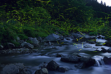 天美传媒麻豆av:虚拟偶像竞速新游发布,多重玩法融合引爆赛道热潮-3