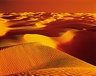 十大黄App：极速狂飙，虚拟赛道上的肾上腺素盛宴，从新手到车神的终极攻略-4