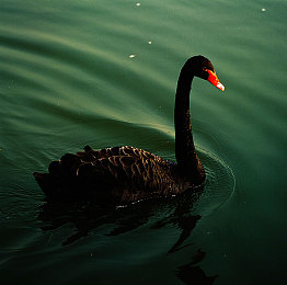 大菠萝福利app:地狱赛道狂飙,暗黑竞速新游体验攻略与深度评测-3