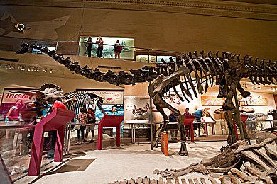 人猿泰山意大利版：狂野引擎轰鸣，法拉利丛林竞速今日正式发售，原始赛道引爆极致驾驭-3