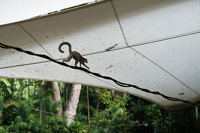 流氓软件100:驾驭恶意代码,在赛博废土上演终极数据狂飙-2