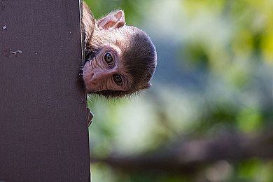 出差强睡我高潮了三次：深夜驾驶生存游戏引爆热议，疲劳驾驶系统暗藏心理恐怖玄机-5