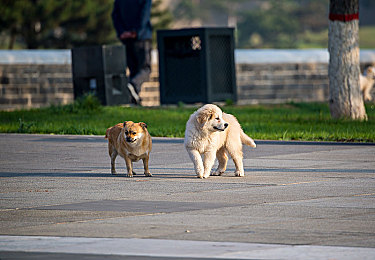 蜜桃avv:甜美风暴席卷墨西哥,地平线5最新个性改装指南引爆玩家社群-2