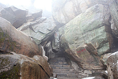 黄品汇绿巨人黄品汇是一款：极速卡牌，赛道策略，驰骋于收集与竞技的融合世界-4