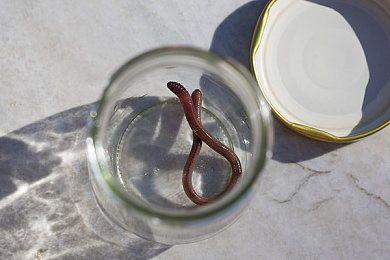 男生和女生搞机软件：虚拟车库掀起竞技风暴，汽车改装游戏打破性别刻板印象-4