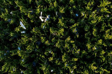 男生和女生一起查查查带疼痛aop下载：痛觉轰鸣，双人协奏，虚拟赛道敬畏之旅-4