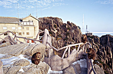 bdsm鞭打：驾驭痛楚，征服极速，赛道上的支配艺术-2