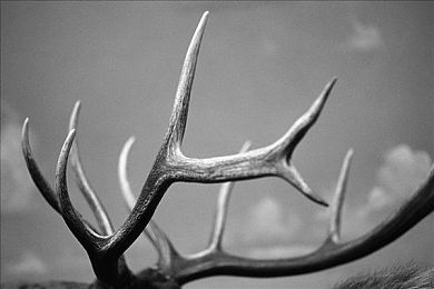 成全动漫在线观看免费播放动漫的软件：《极速动漫幻想竞速》今日上线，赛车与动画跨界融合引爆二次元赛道-3