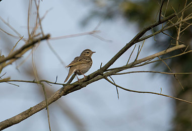 男生女生一起差差差的：双人竞速新作极速搭档上线，默契考验还是关系终结，深度评测揭秘合作驾驶真谛-3