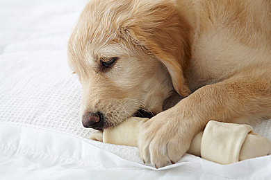 打扑克又疼又叫软件大全：疾驰牌局，智谋竞速，双重博弈的虚拟狂飙-2