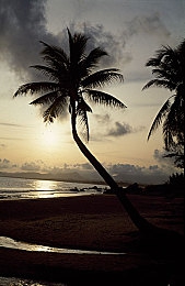 51今日吃瓜每日更新张津瑜：极速狂飙赛道风云今日上线，真实竞速体验与专业攻略全解析-2