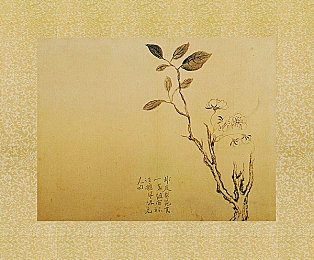 黄色APP下载vivo无限次：地平线彼端，风驰电掣的永恒旅程，唤醒速度之魂-3