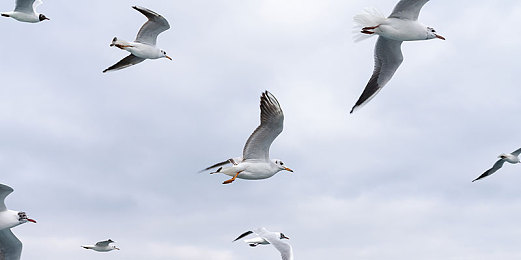 猎奇黑料爆料专区：深夜疾驰暗藏玄机，玩家揭秘竞速游戏隐藏都市传说-4