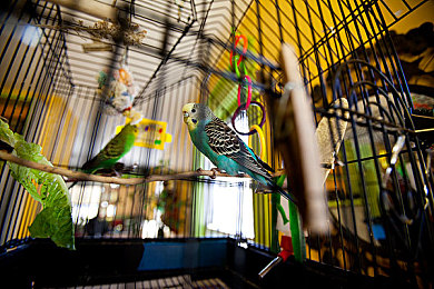 黄色App下载3.0.3：极速都市新版本上线，霓虹赛道与改装狂潮引爆移动竞速-4