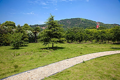 红桃m8n90隐藏人口：暗夜疾驰，都市密影中的竞速传奇-4