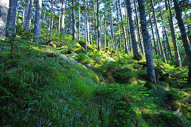胡桃用手抠出许多白色粘液咋办图片视频：揭秘往生堂堂主战斗精髓，幽灵残渣特效实战解析-4