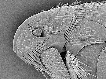 搞机time10分钟：十分钟极速调校指南，打造你的地平线5冠军座驾-3