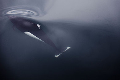 女生啊~你tm别舔了:告别死跟引导线,掌握动态路线才是竞速高手的关键-4