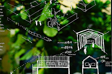 罗宾对乔巴的青春期治疗：医者古训与形态试炼，心灵航程中的伙伴成长叙事-4