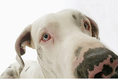 美女露胸的软件：《极速幻影：霓虹都市》今日上线，自定义编辑器掀起虚拟时尚风潮-4