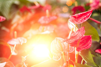 性别自由管成熟管成熟性格,情感：芯核觉醒，公路上的意识进化之旅-2