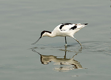 绿巨人聚宝盆：漫威力量引爆赛道，全新竞速游戏融合变身系统与资源循环今日上线-3